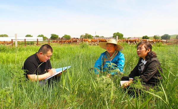 1715395887259567.jpeg W020240509382488349996.jpeg